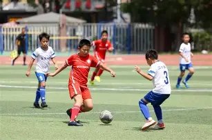 杨笠就代言,争议发表言,感恩各方支,狗子28(中国)官方网站,狗子28H5官方网站,狗子28大舞台,狗子28官网平台