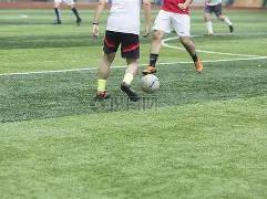 狗子,大舞台,产品,狗子28(中国)官方网站,狗子28H5官方网站,狗子28大舞台,狗子28官网平台