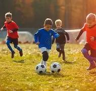 狗子,大舞台,产品,狗子28(中国)官方网站,狗子28H5官方网站,狗子28大舞台,狗子28官网平台