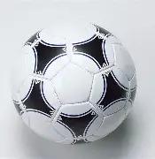 博茨瓦纳勇,士扬帆起航,冠军征程悬,狗子28(中国)官方网站,狗子28H5官方网站,狗子28大舞台,狗子28官网平台