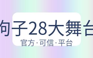 狗子28大舞台 配图
