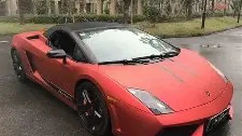 狗子28大舞台 资讯 114439 rws