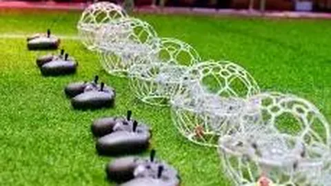 狗子28大舞台 资讯 141624 dgj