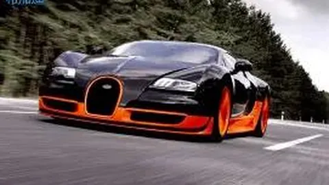 狗子28大舞台 产品 101356 xgd