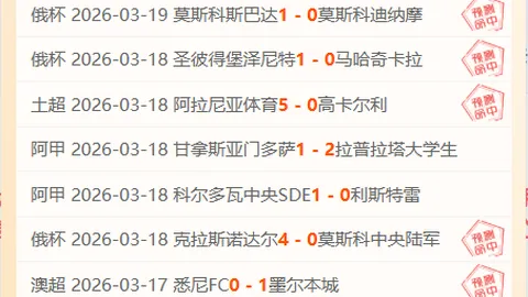 狼队1-2西哈姆惜败，英超赛场激情四溢